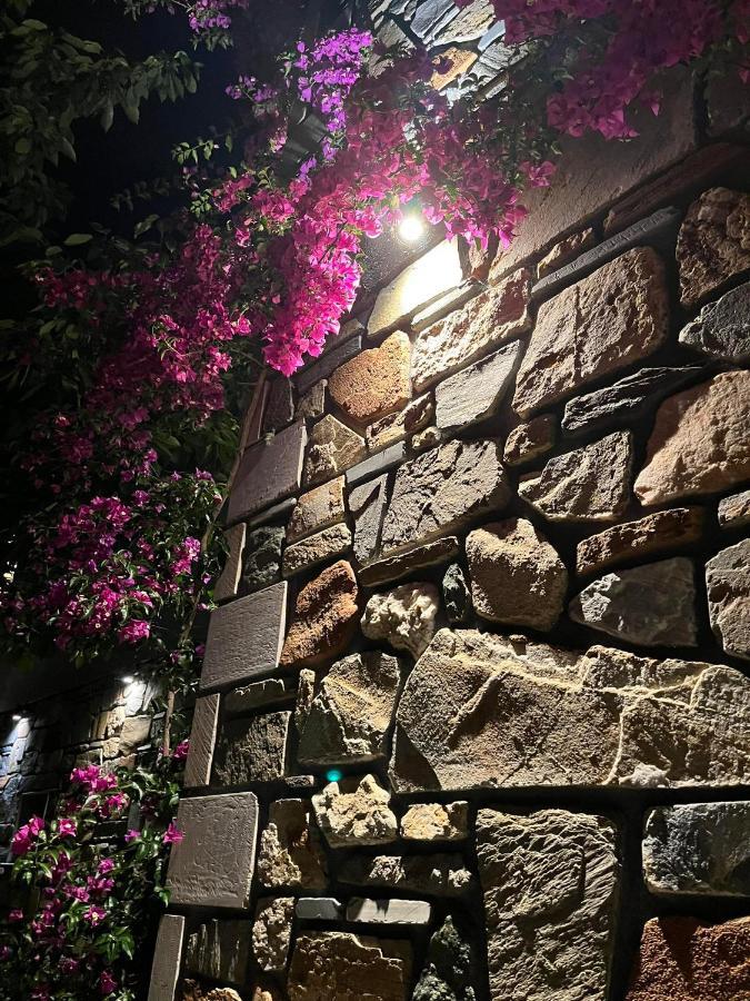 Villa Anna Ayos Nikolaos Dış mekan fotoğraf