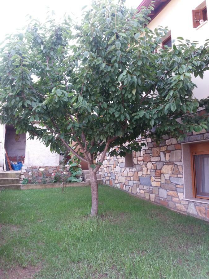 Villa Anna Ayos Nikolaos Dış mekan fotoğraf